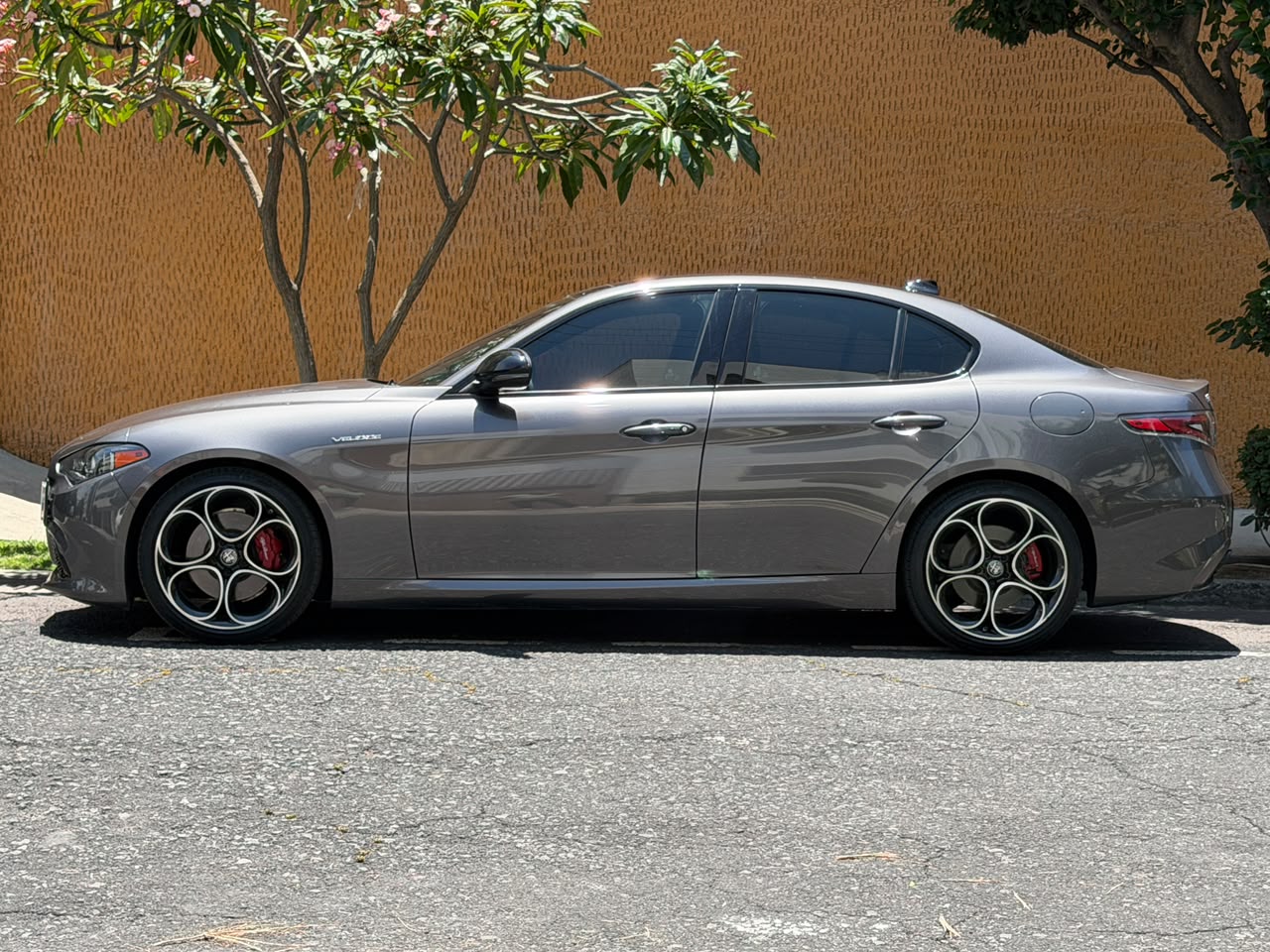 Alfa Romeo  GIULIA VELOCE 2024