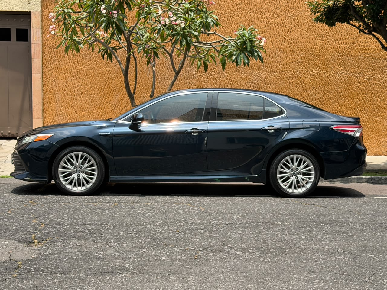 Toyota  CAMRY XLE NAVI HV 2019